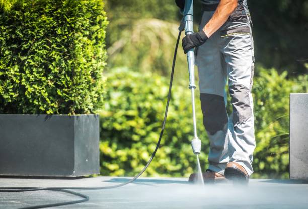 Best Solar Panel Cleaning  in Roxboro, NC